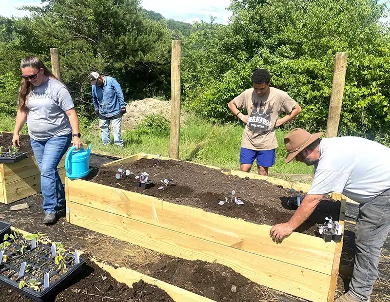 what the farm program teaches
