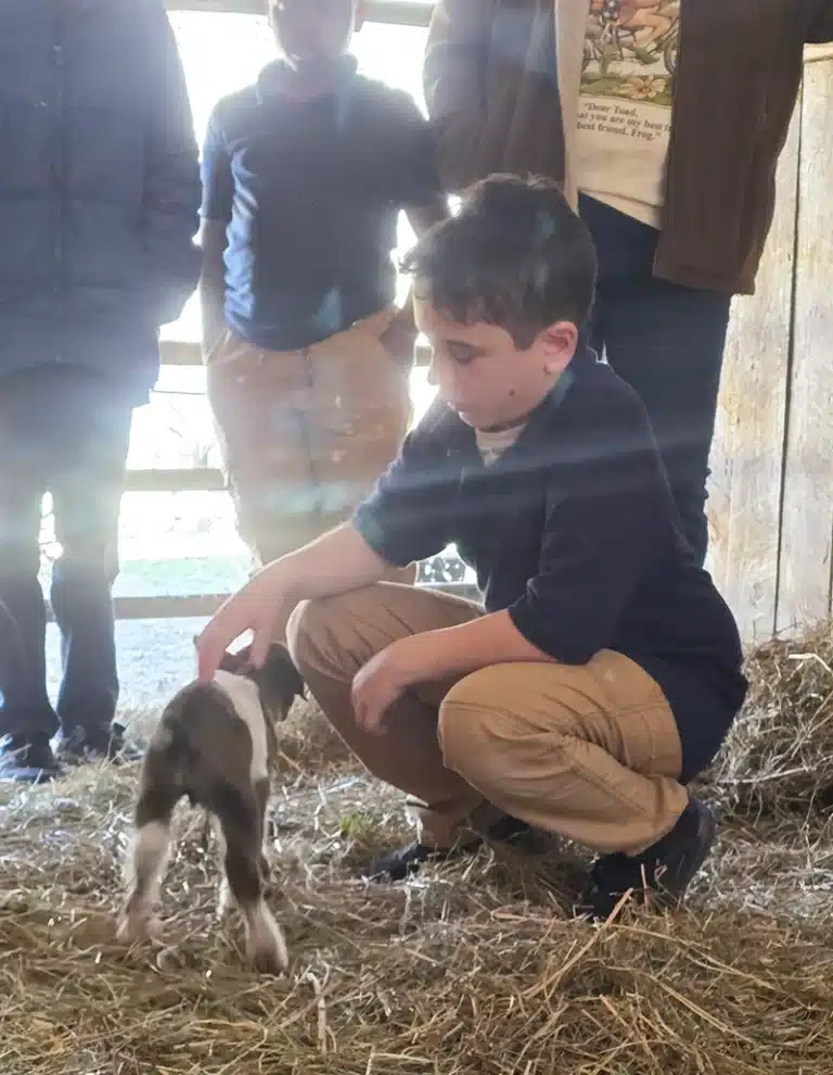 Animals Help Healing